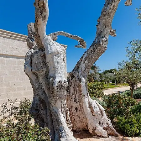 Masseria Torre Del Diamante * Torre Canne