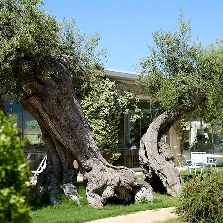 Masseria Torre Del Diamante Landhuis
