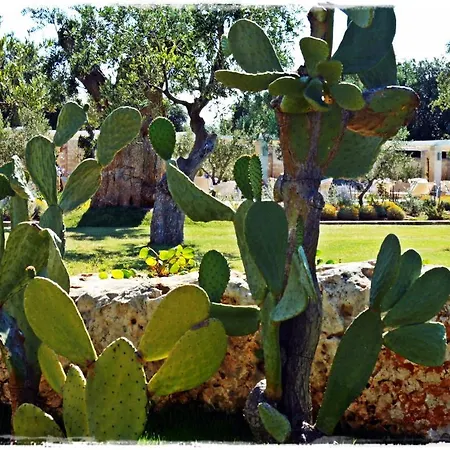 Masseria Torre Del Diamante